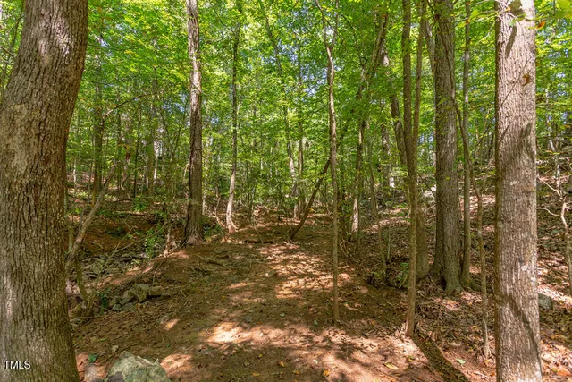 a view of outdoor space and green space