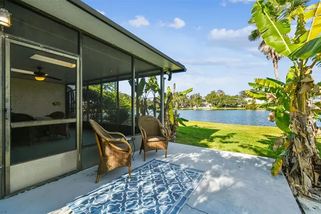 a view of a backyard with plants and palm trees