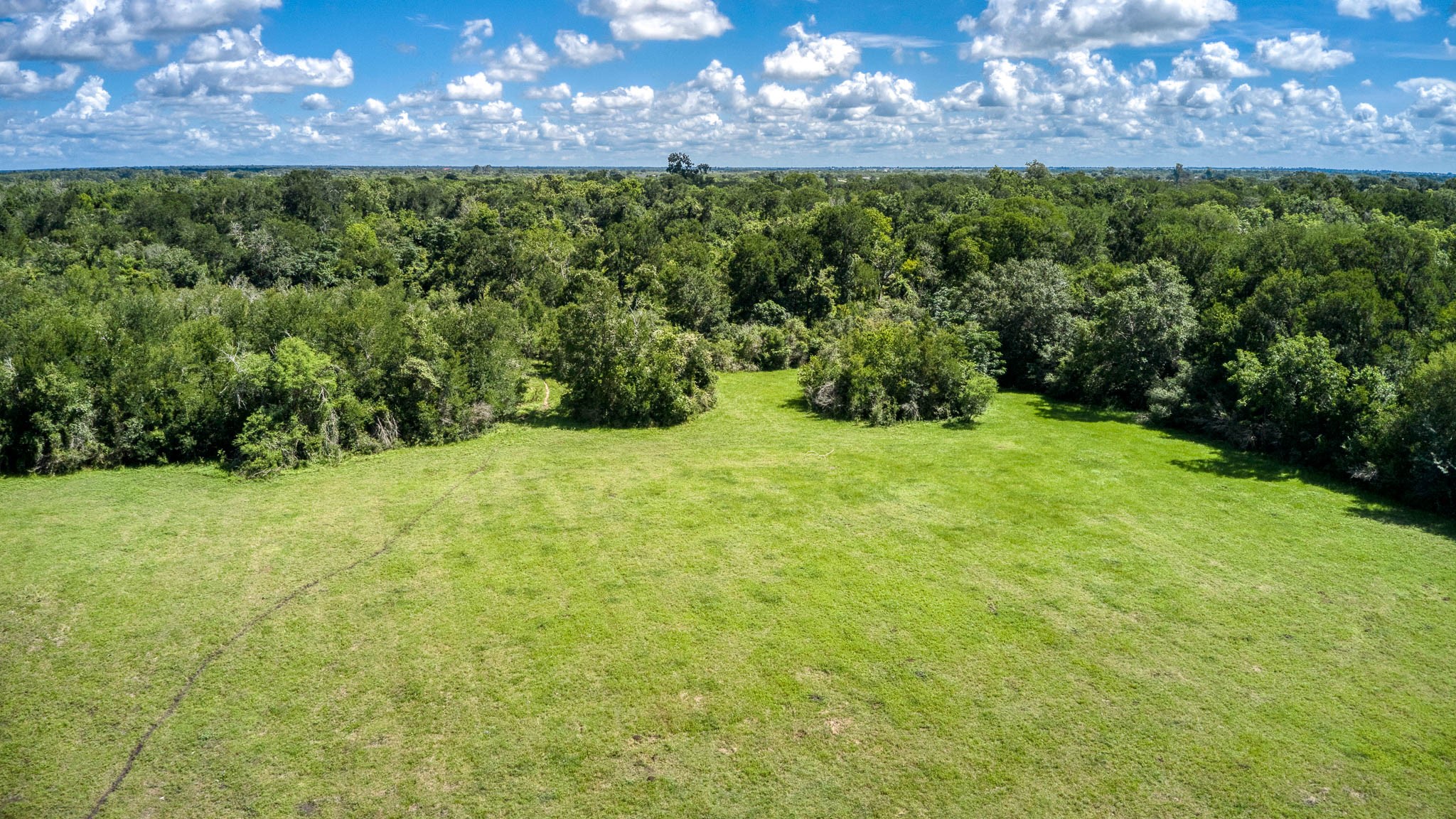 Tbd Holik Road Hempstead, TX 77445 - Photo 12 of 50