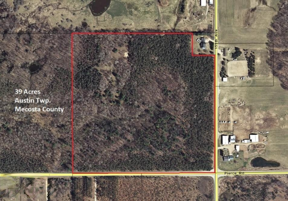 39 Pierce Road Stanwood, MI 49346 - Photo 1 of 27 MecostaCo39Aerial1