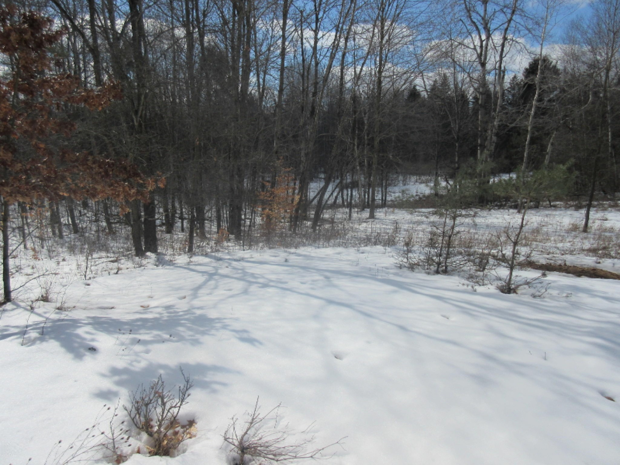39 Pierce Road Stanwood, MI 49346 - Photo 20 of 27 IMG_5658
