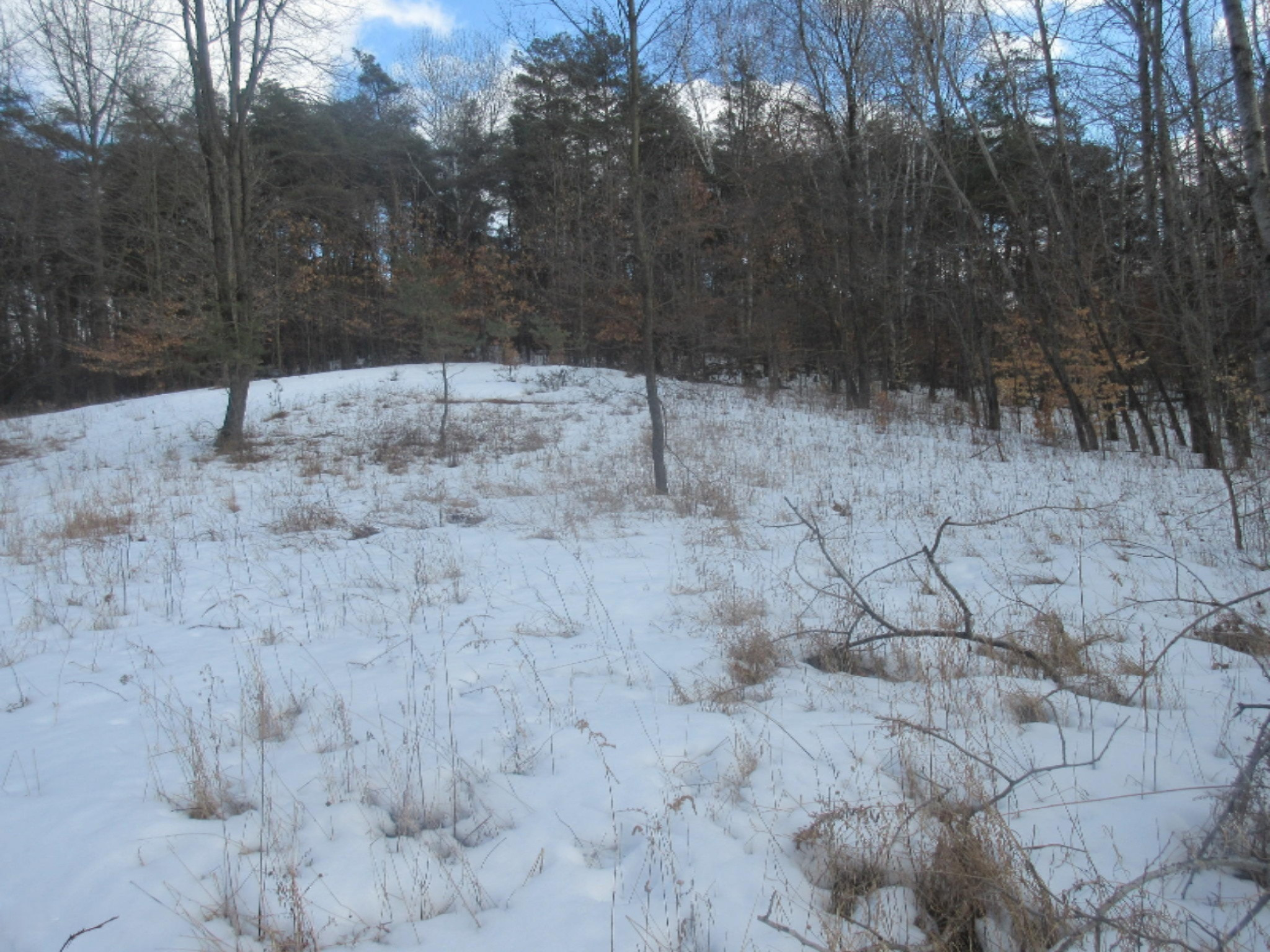 39 Pierce Road Stanwood, MI 49346 - Photo 25 of 27 IMG_5670