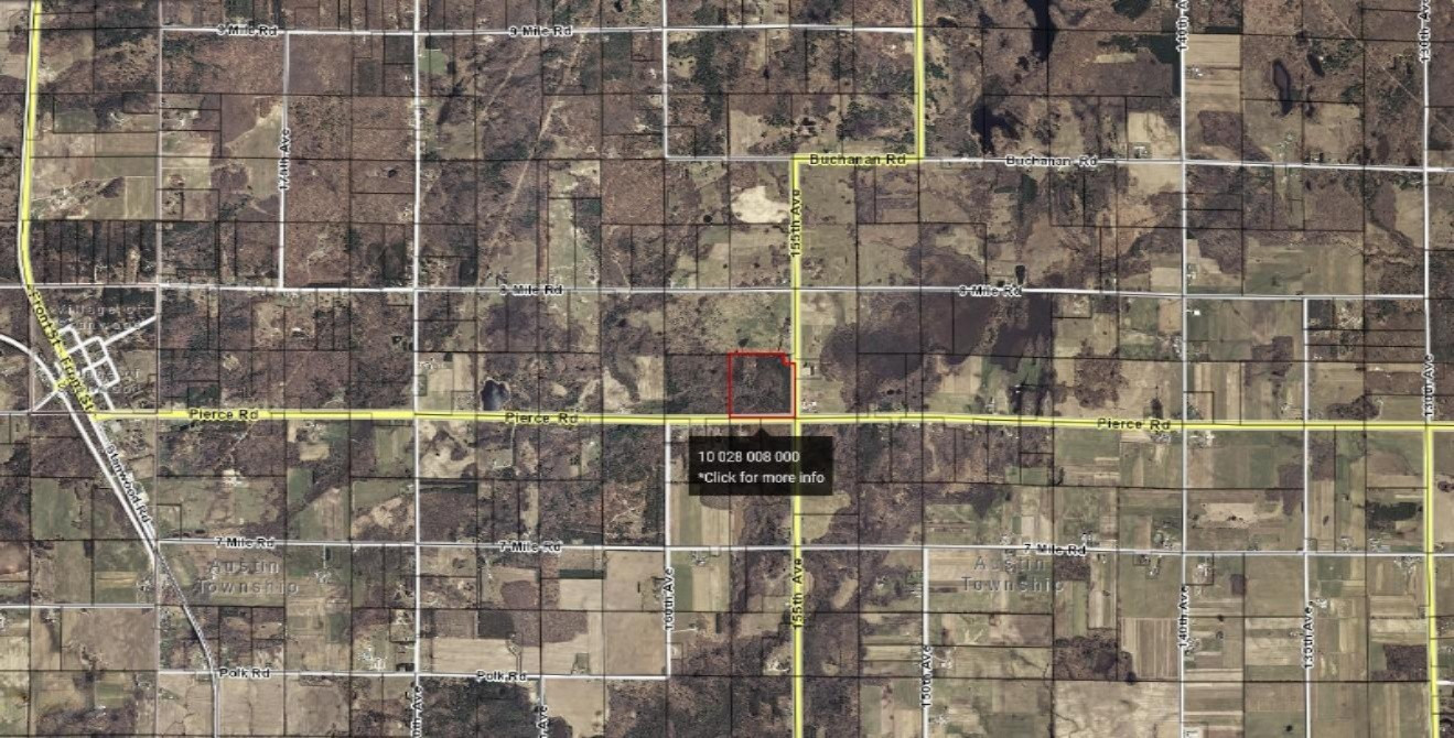 39 Pierce Road Stanwood, MI 49346 - Photo 27 of 27 MecostaCo39Aerial2