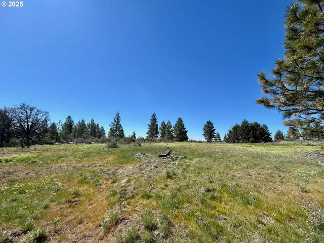 $30,000 | 2 Lots On Pine Street, Roosevelt, WA 99356