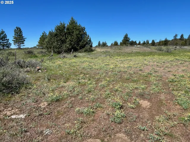 $30,000 | 2 Lots On Pine Street, Roosevelt, WA 99356