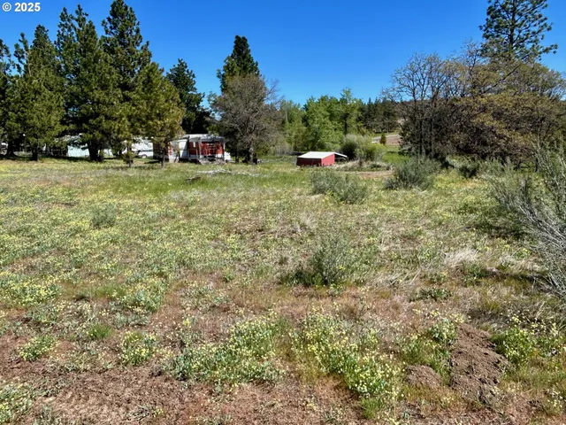 $30,000 | 2 Lots On Pine Street, Roosevelt, WA 99356