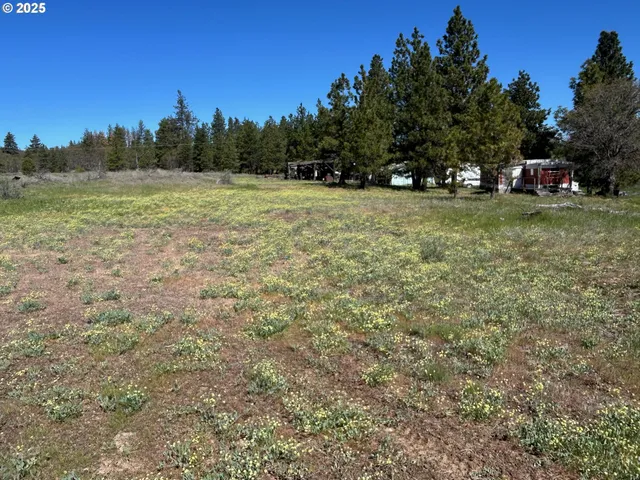 $30,000 | 2 Lots On Pine Street, Roosevelt, WA 99356