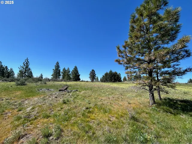 $30,000 | 2 Lots On Pine Street, Roosevelt, WA 99356