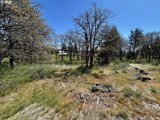 $30,000 | 2 Lots On Pine Street, Roosevelt, WA 99356