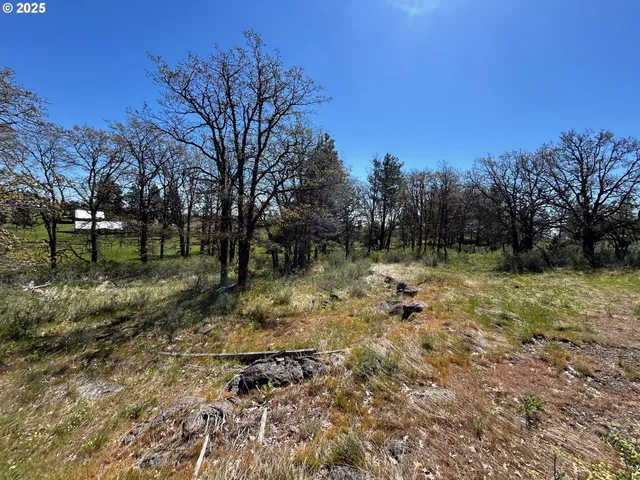 $30,000 | 2 Lots On Pine Street, Roosevelt, WA 99356