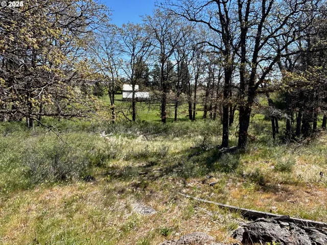 $30,000 | 2 Lots On Pine Street, Roosevelt, WA 99356