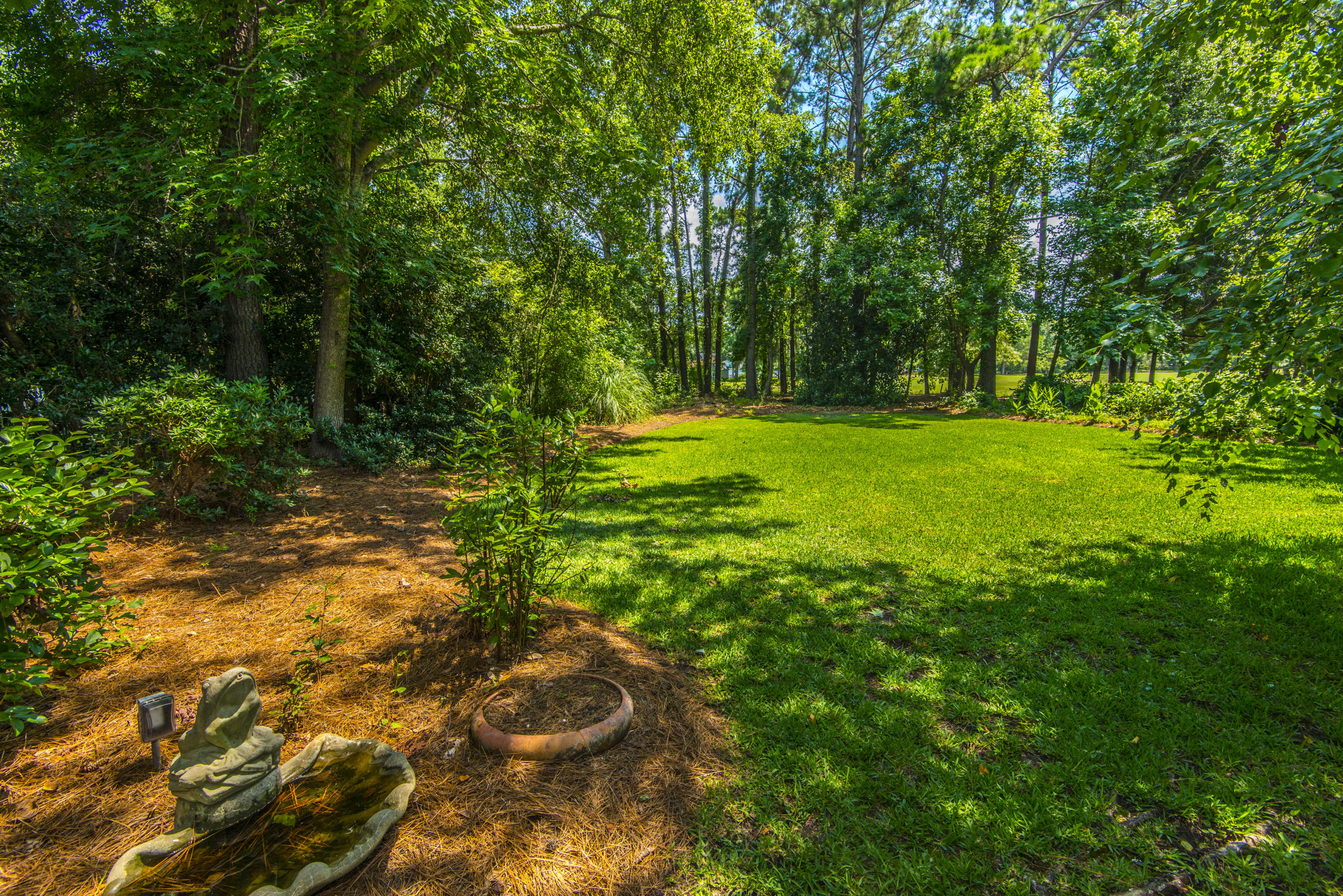 862 Farm Quarter Road Mount Pleasant, SC 29464 - Photo 27 of 30 Backyard