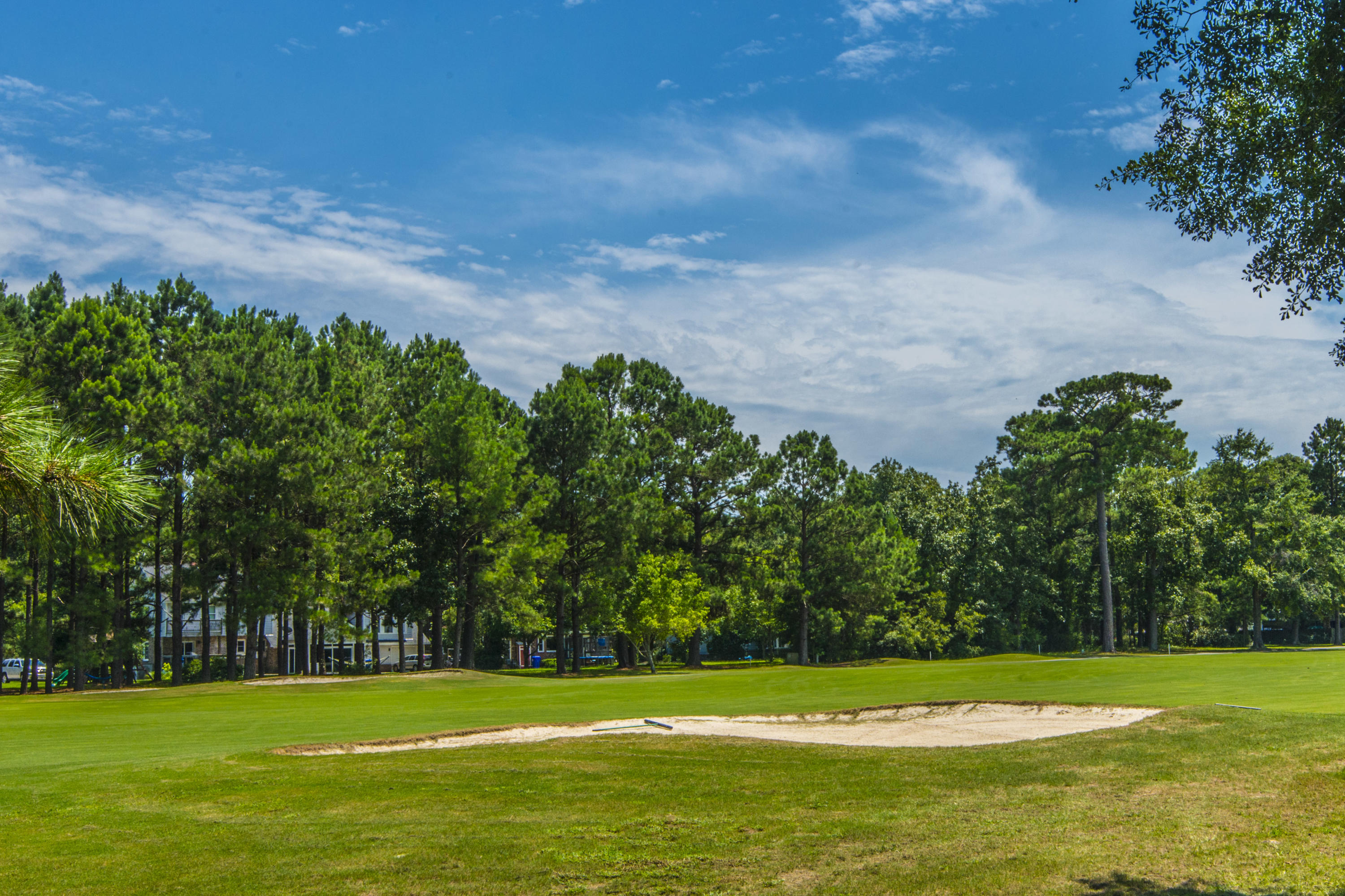 862 Farm Quarter Road Mount Pleasant, SC 29464 - Photo 30 of 30 Golf course view