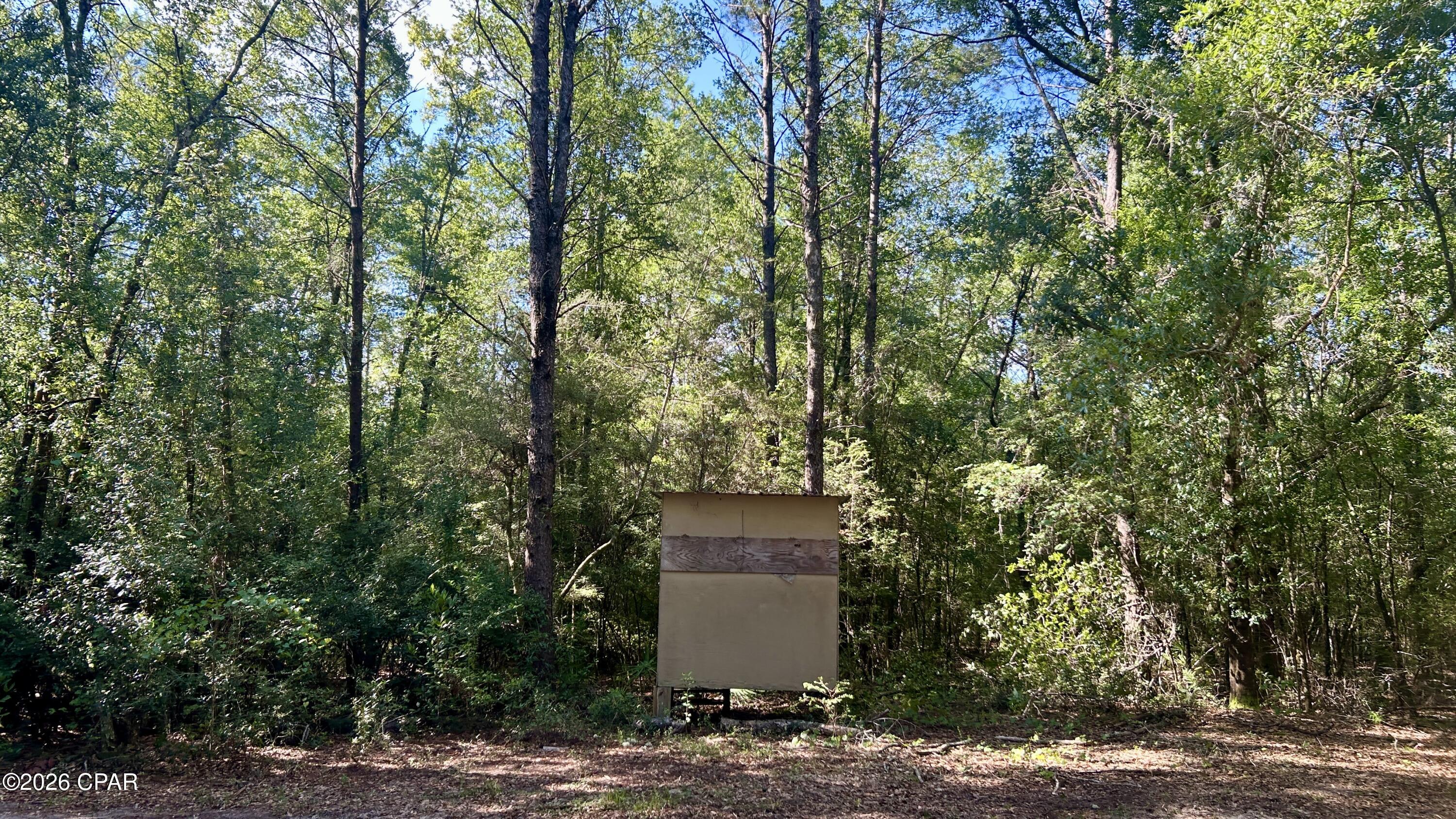 B Trawick Creek Road Holt, FL 32564 - Photo 11 of 27 Gallery Image 11