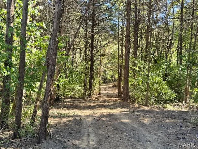 $185,000 | 111 Elizabeth Court, Wright City, MO 63390