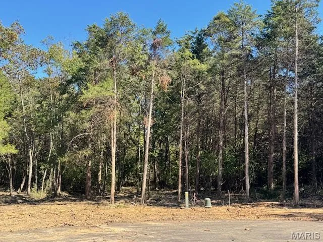 $185,000 | 111 Elizabeth Court, Wright City, MO 63390