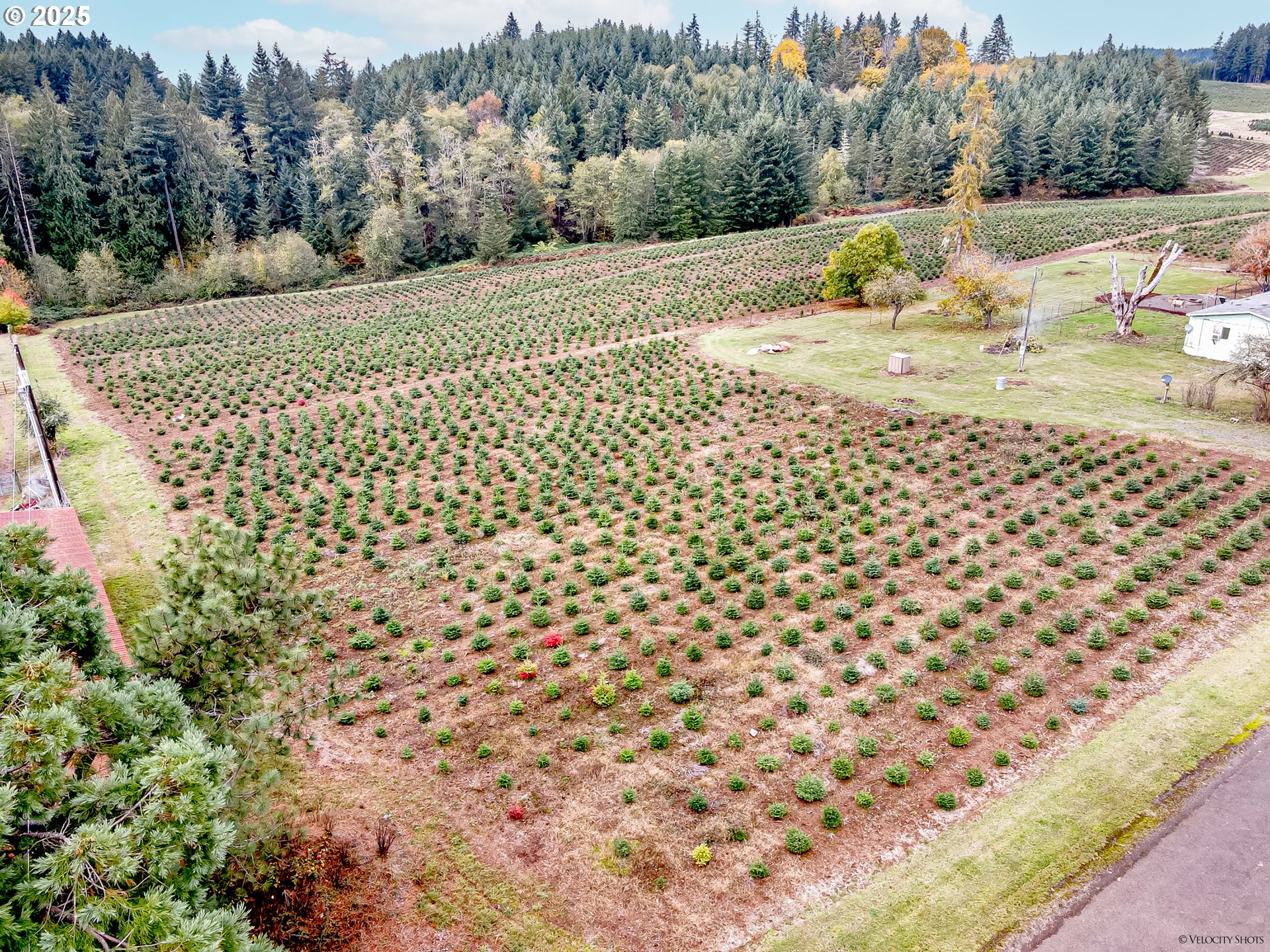 29795 Southeast Gruber Road Estacada, OR 97023 - Photo 44 of 45