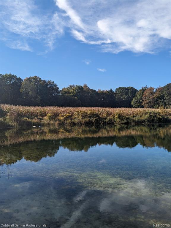 7168 Willis Road Brown City, MI 48416 - Photo 15 of 24