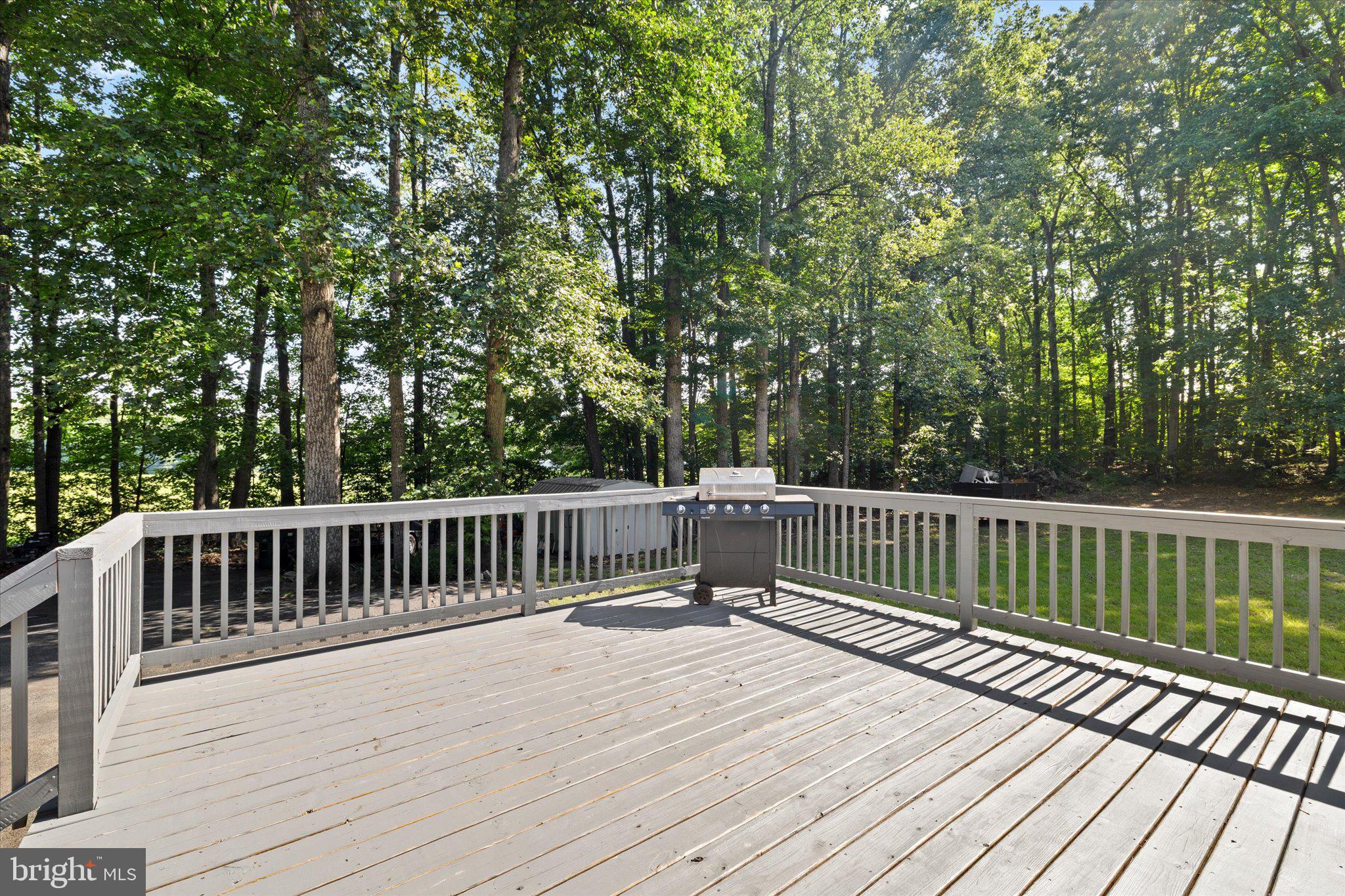 252 Evergreen Road Louisa, VA 23093 - Photo 29 of 39 Deck
