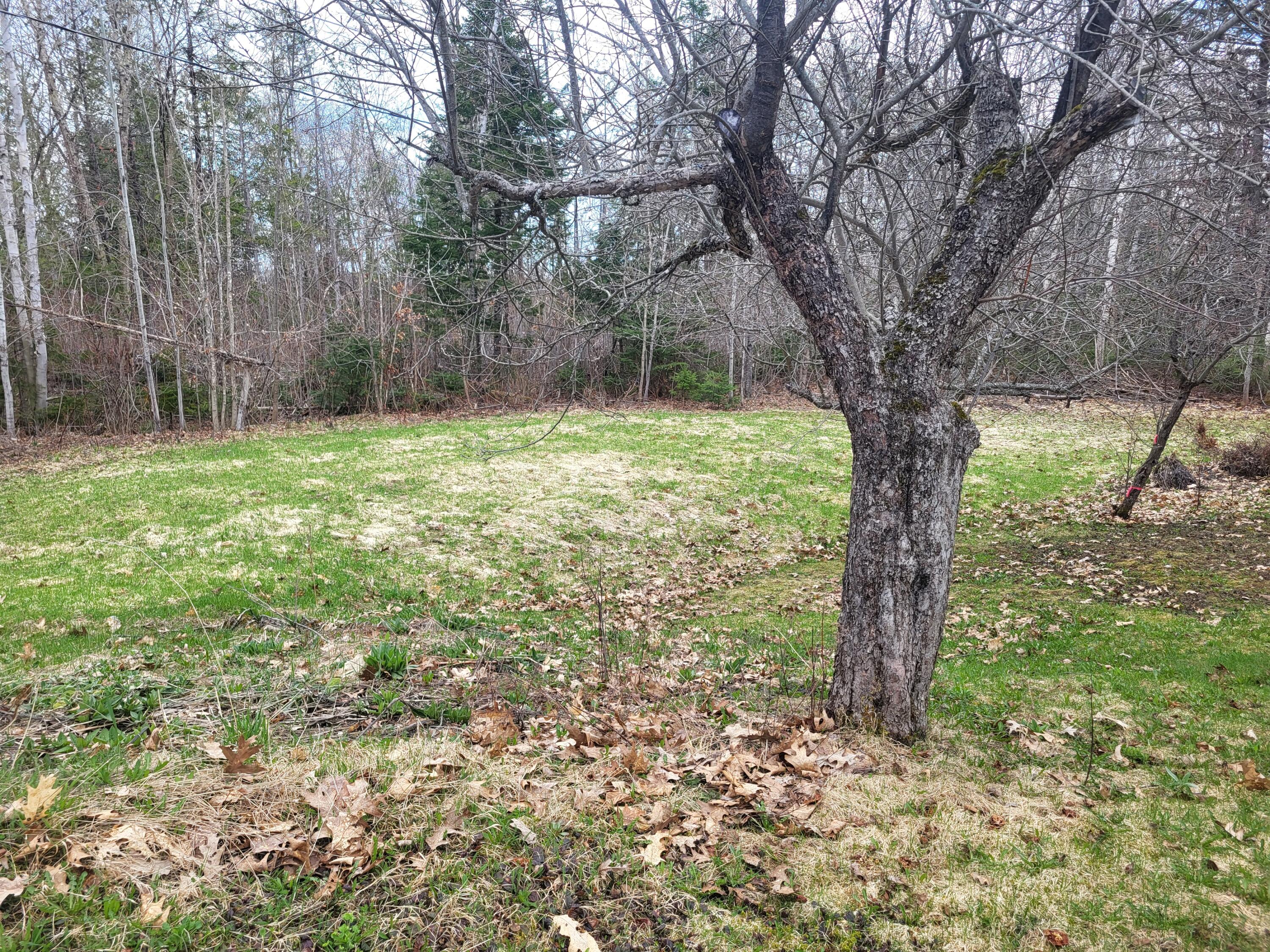 26 Bells Crossing Bridgewater, ME 04735 - Photo 18 of 58 1000068375