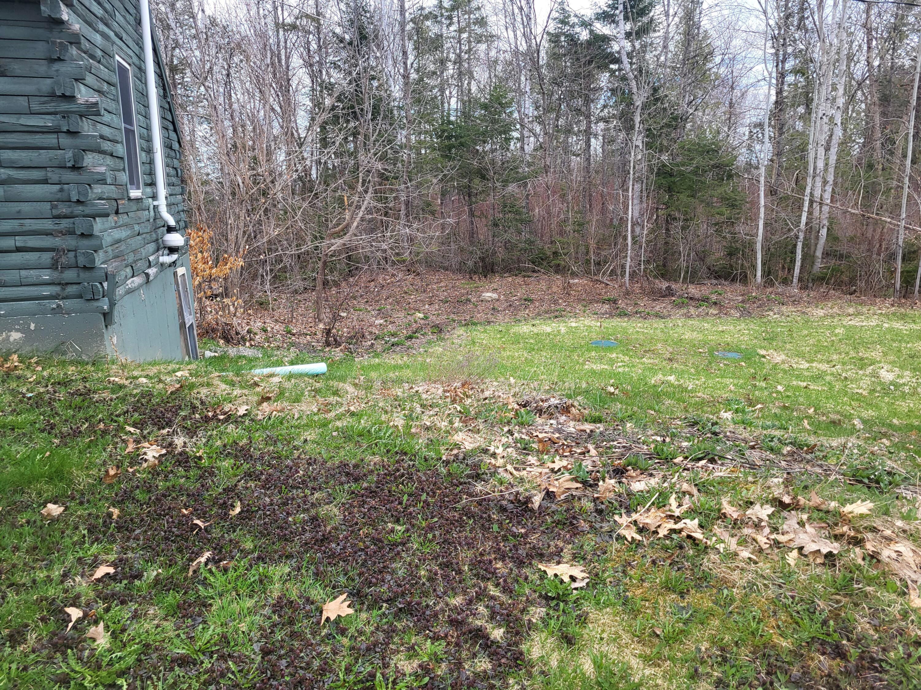 26 Bells Crossing Bridgewater, ME 04735 - Photo 21 of 58 1000068374