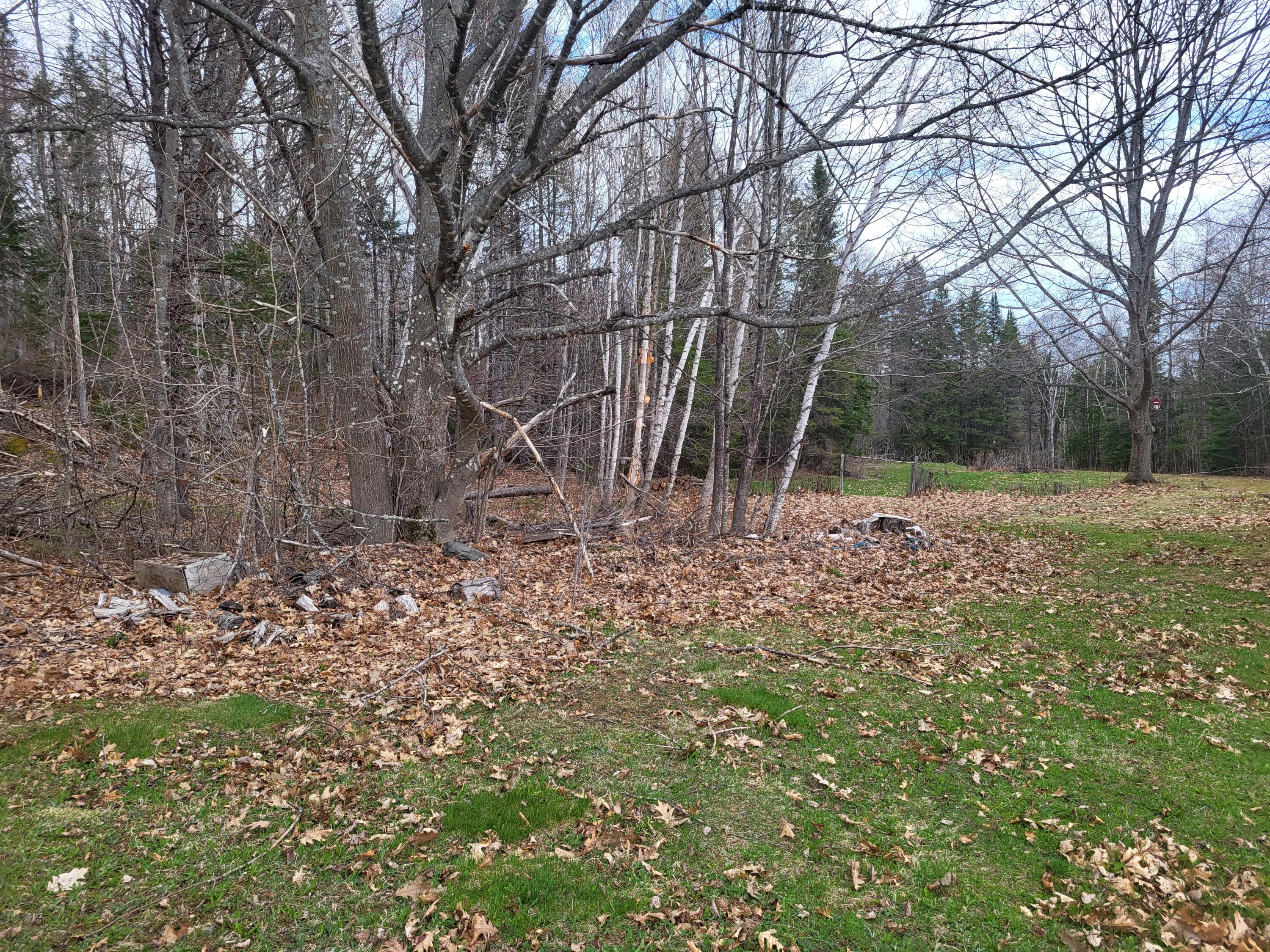 26 Bells Crossing Bridgewater, ME 04735 - Photo 22 of 58 1000068380 (1)