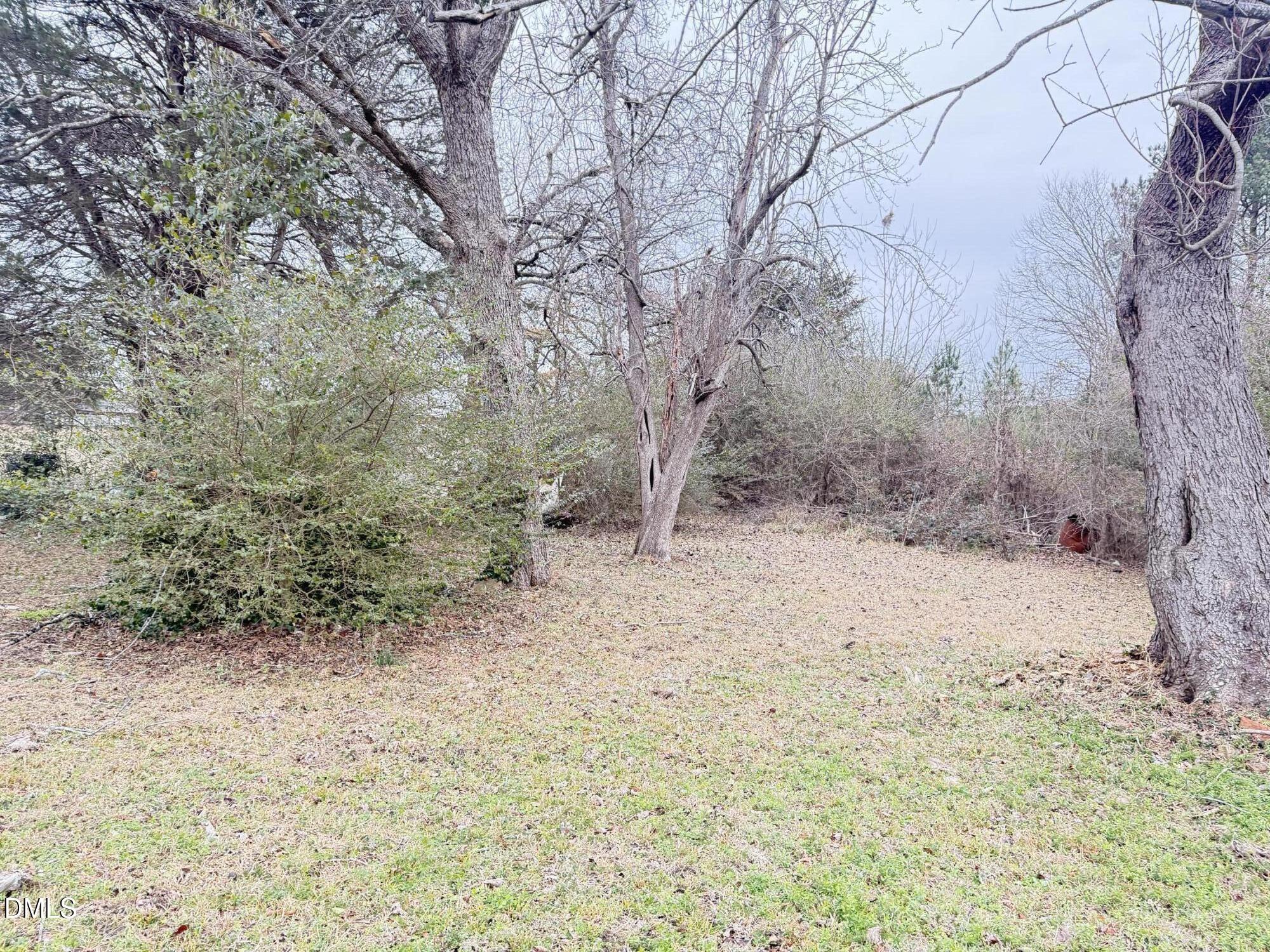 103 Howard Harris Road Franklinton, NC 27525 - Photo 6 of 12 a view of a dry yard with trees