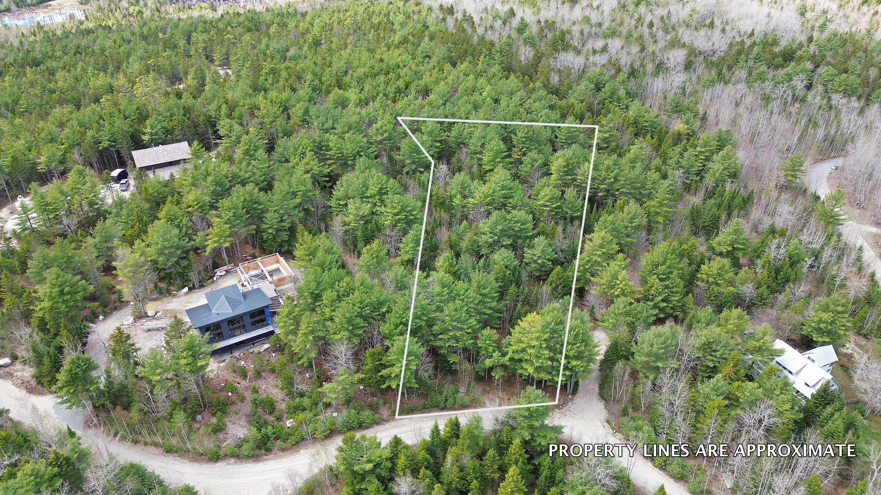 Lot 4 Bailey Mountain Road Franklin, ME 04634 - Photo 4 of 14 Map 6, Lot #4