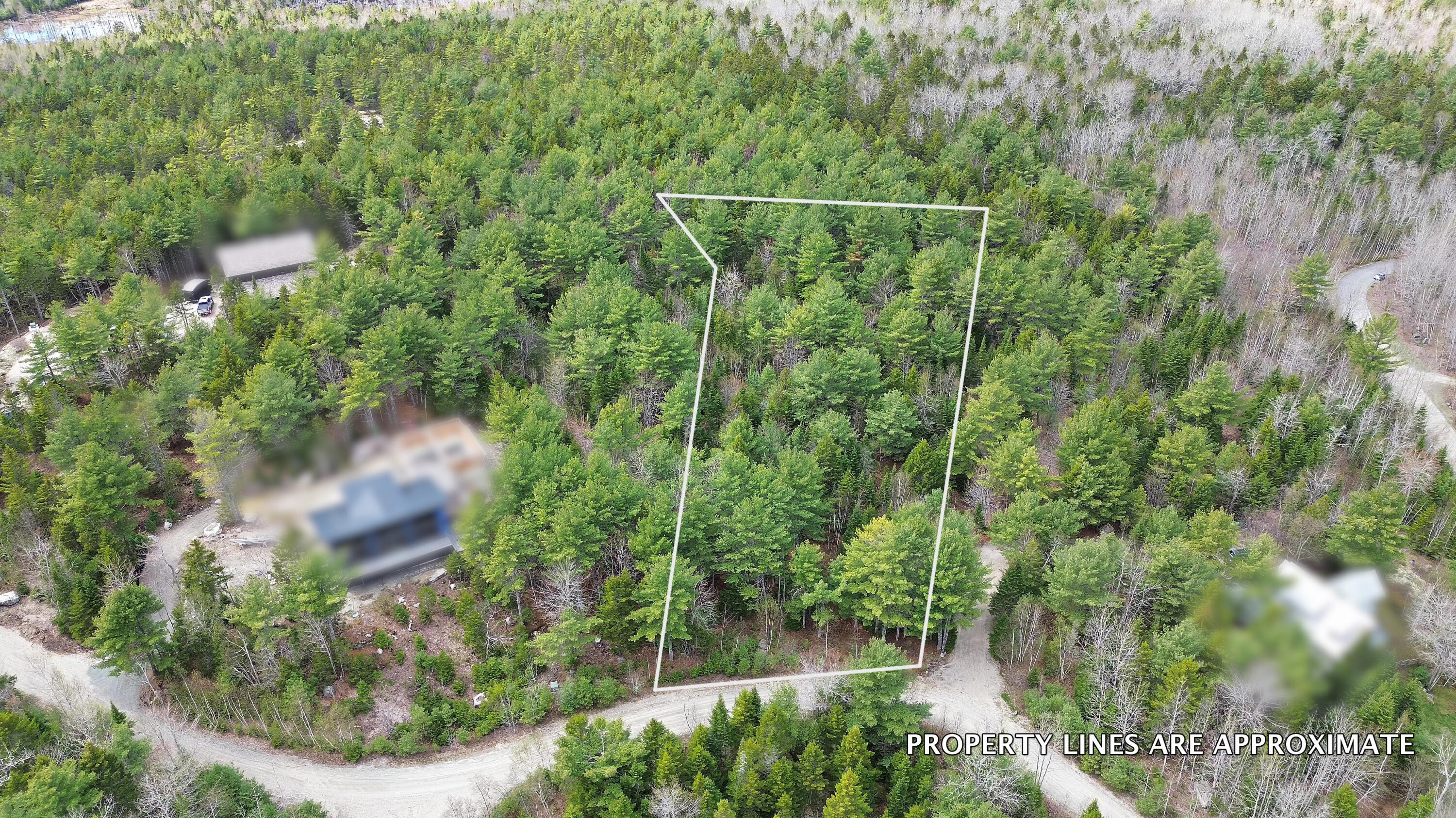 Lot 4 Bailey Mountain Road Franklin, ME 04634 - Photo 5 of 14 Map 6, Lot #4
