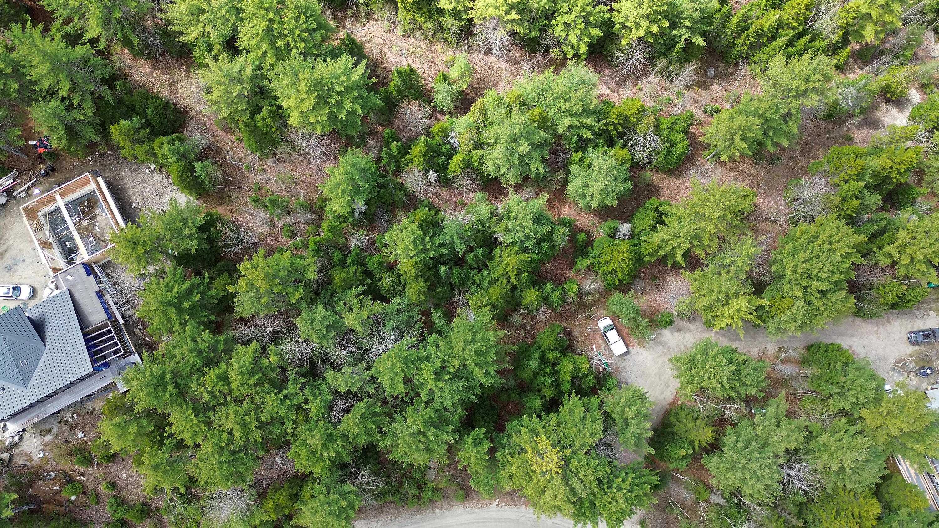 Lot 4 Bailey Mountain Road Franklin, ME 04634 - Photo 7 of 14 Map 6, Lot #4