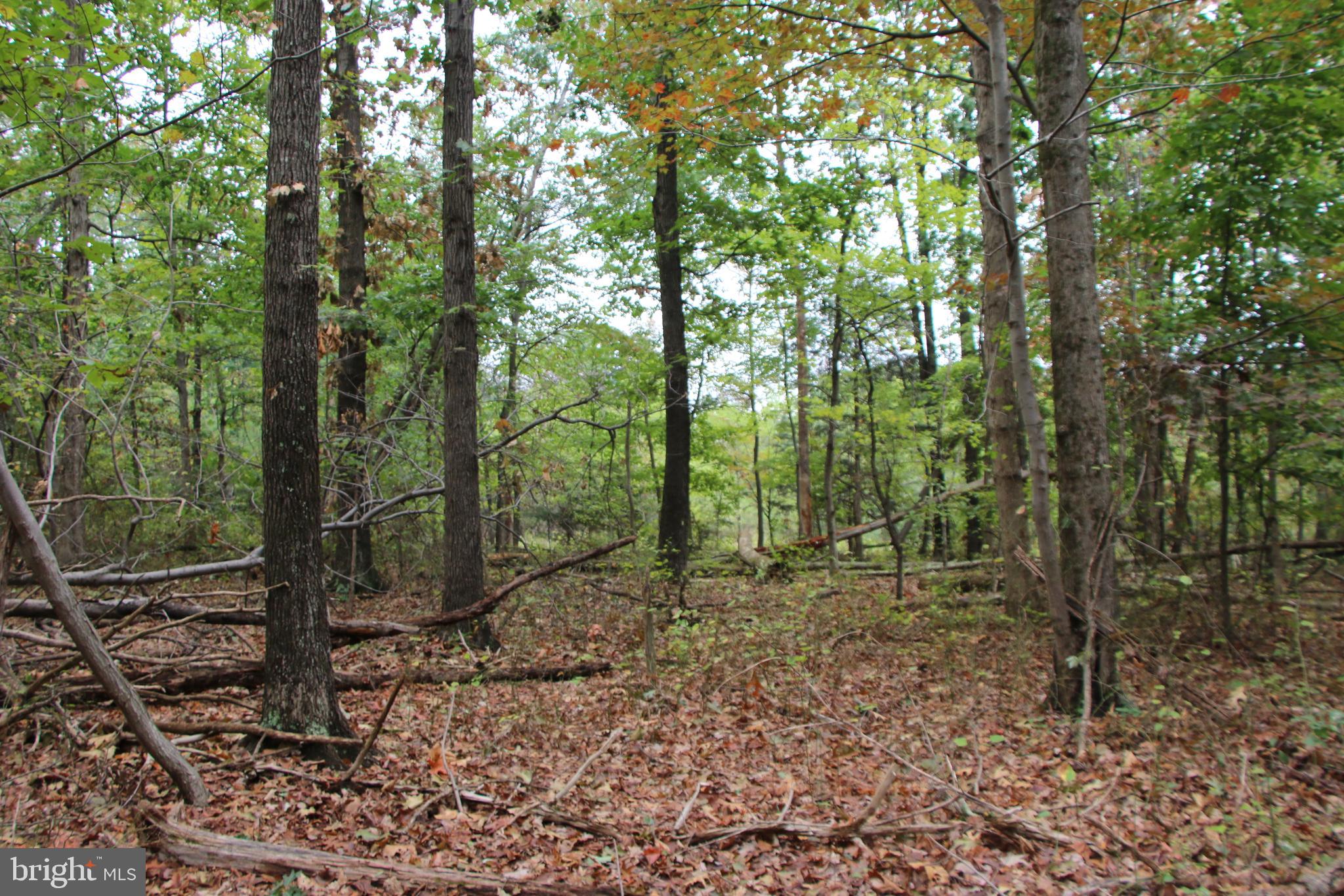 0 Hunter Road Maurertown, VA 22644 - Photo 1 of 19