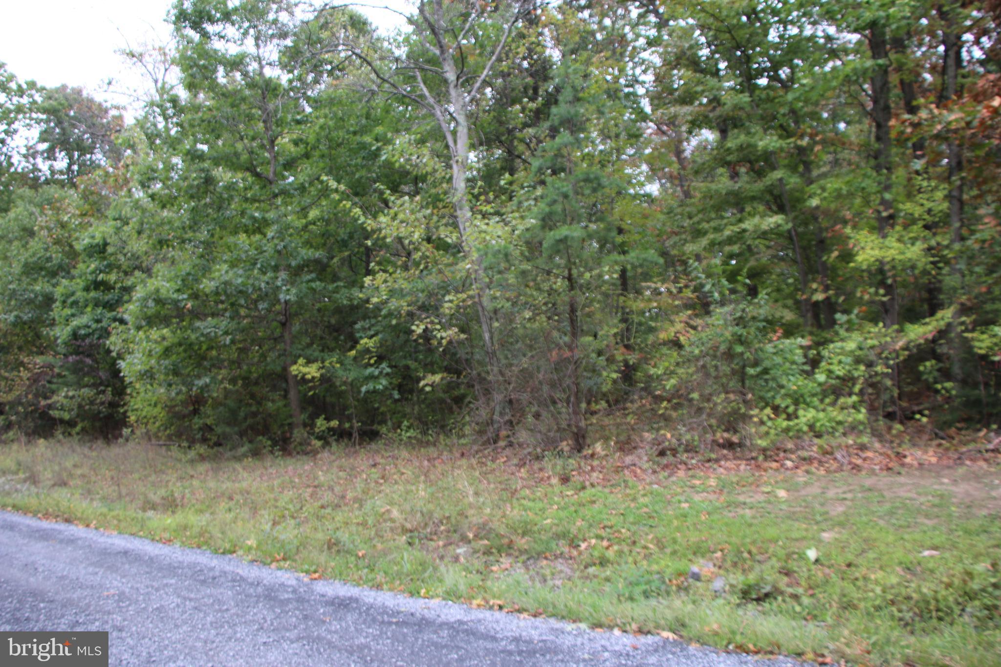 0 Hunter Road Maurertown, VA 22644 - Photo 15 of 19