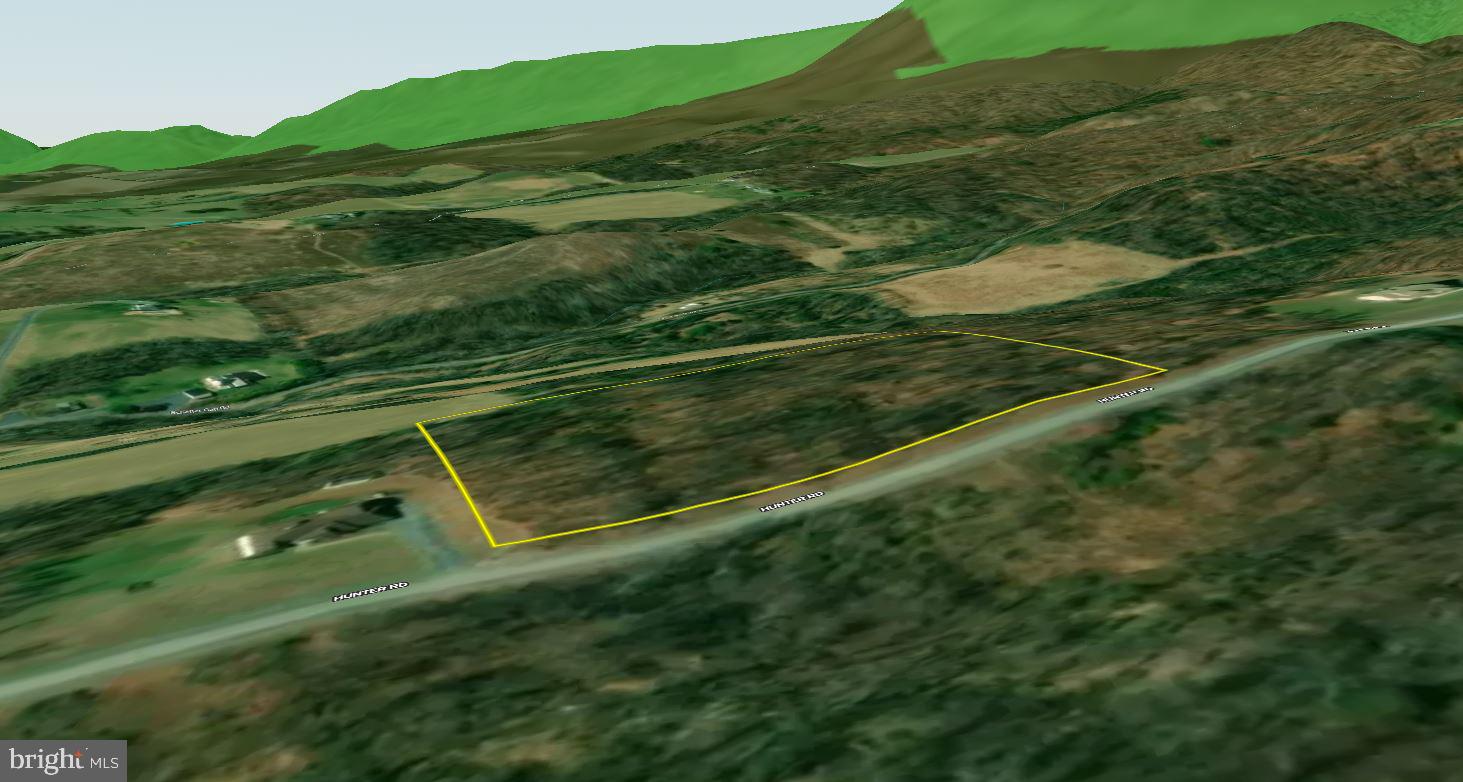 0 Hunter Road Maurertown, VA 22644 - Photo 16 of 19