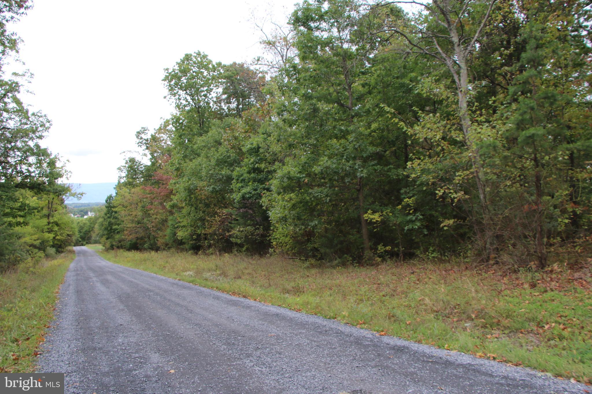 0 Hunter Road Maurertown, VA 22644 - Photo 2 of 19