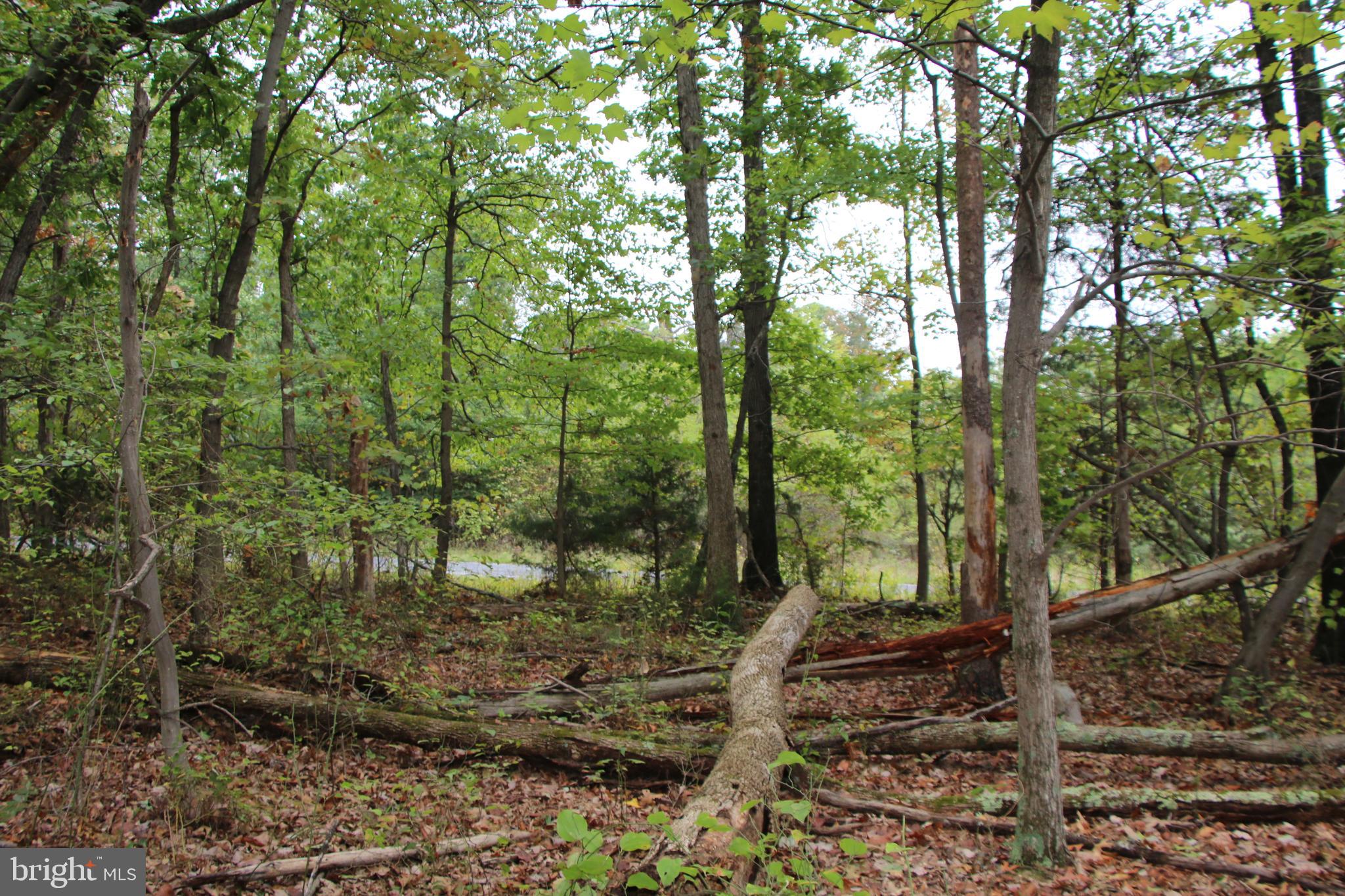 0 Hunter Road Maurertown, VA 22644 - Photo 3 of 19