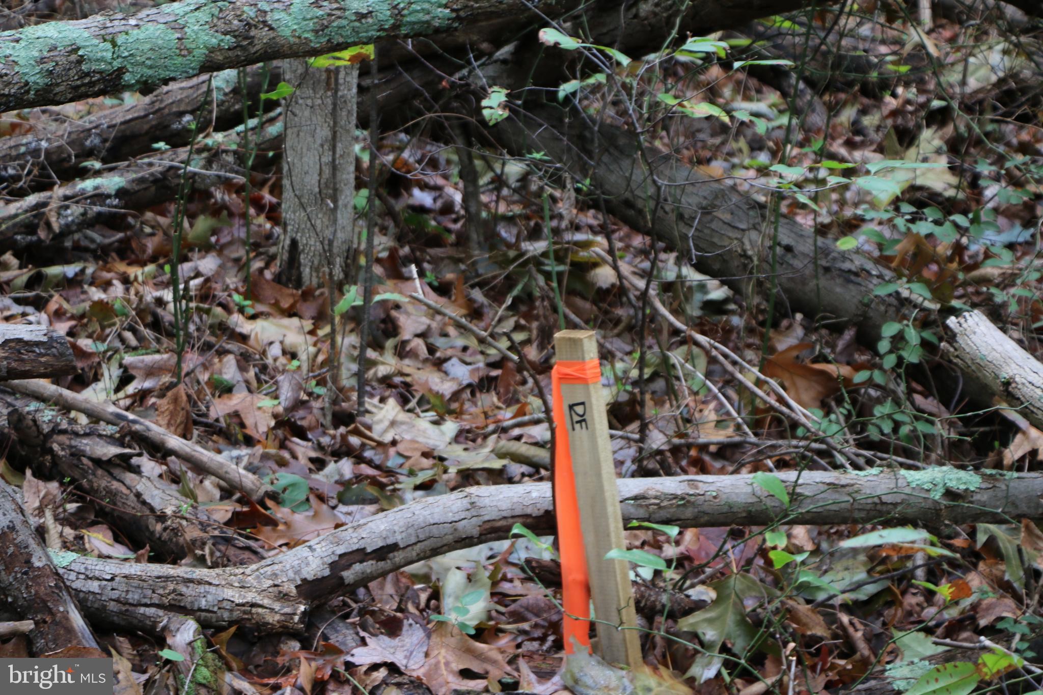 0 Hunter Road Maurertown, VA 22644 - Photo 4 of 19