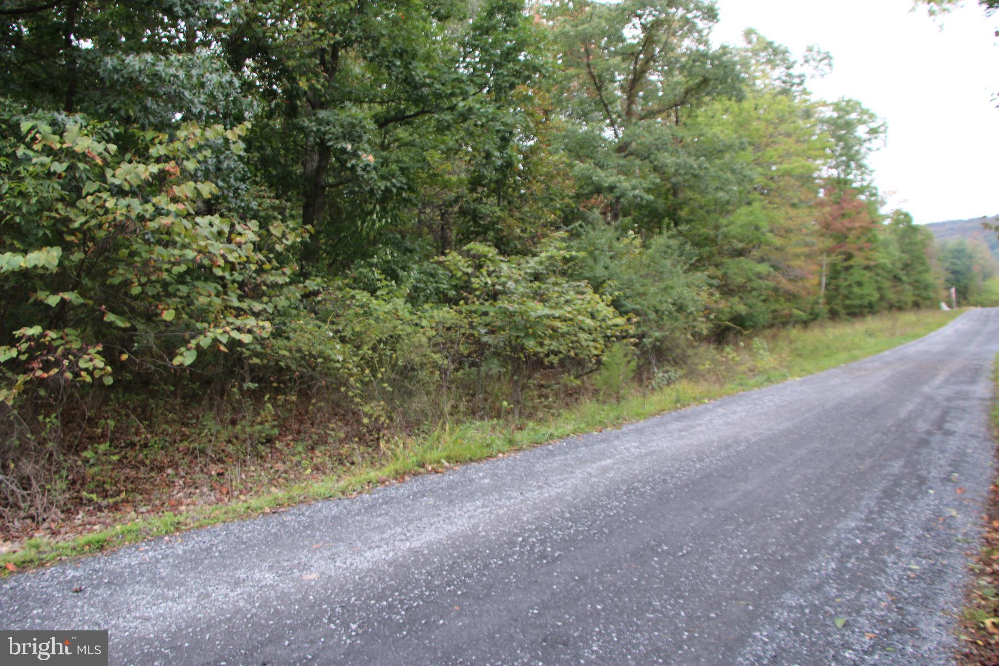 0 Hunter Road Maurertown, VA 22644 - Photo 6 of 19