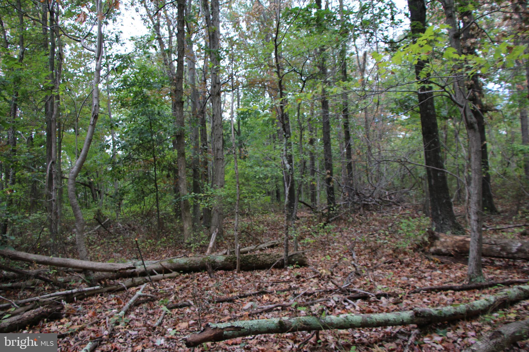 0 Hunter Road Maurertown, VA 22644 - Photo 7 of 19