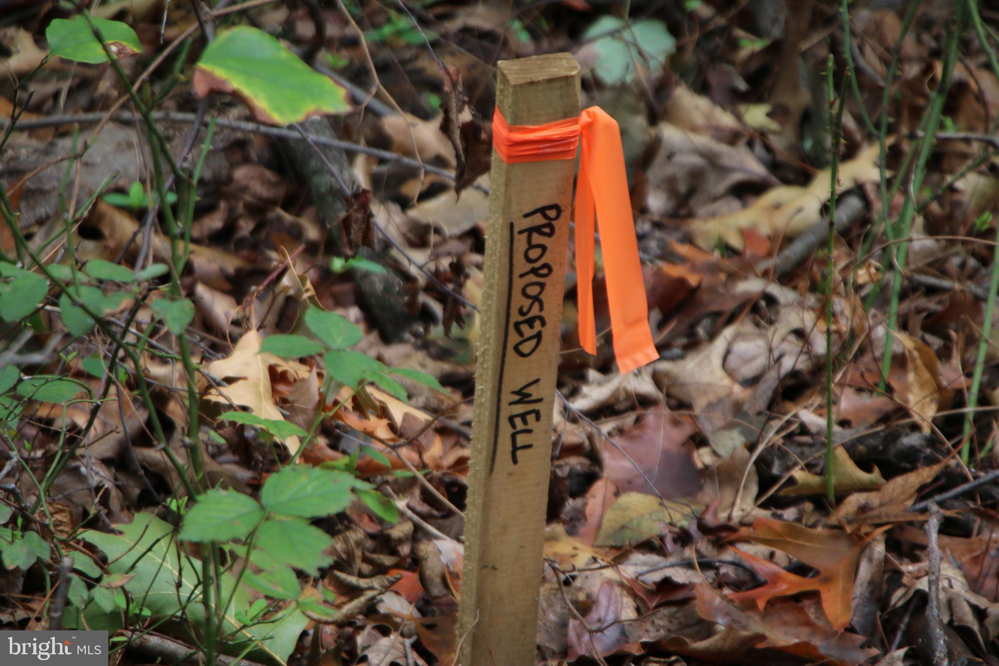 0 Hunter Road Maurertown, VA 22644 - Photo 9 of 19