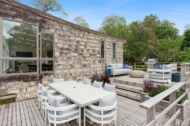 a view of a garden with plants and trees