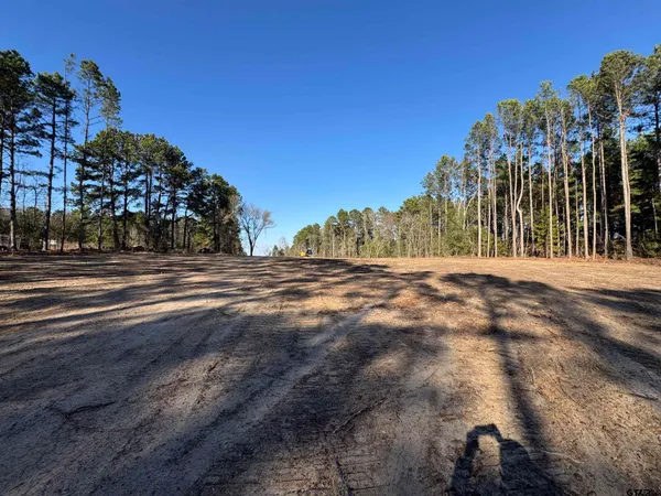 a view of dirt field with large trees