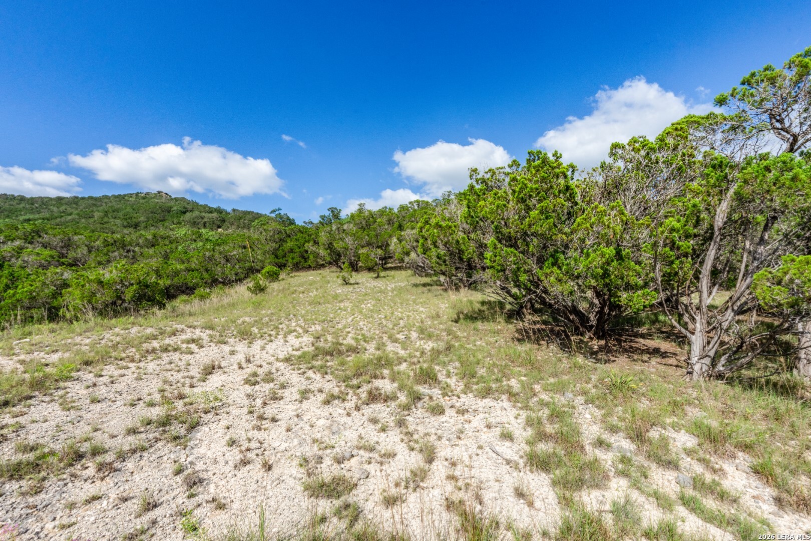 650 Evans Creek Road Vanderpool, TX 78885 - Photo 12 of 28