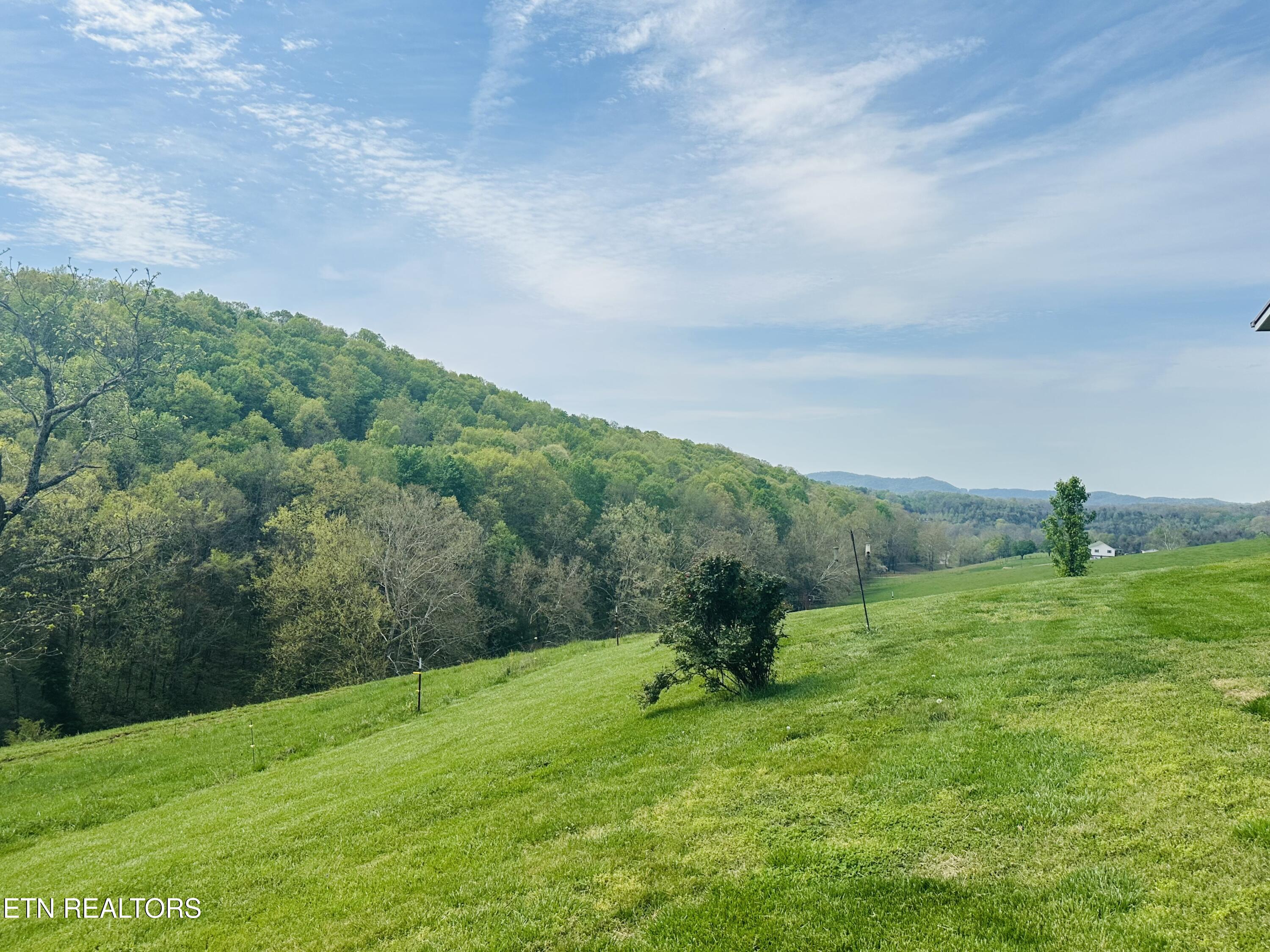 515 Barkley Road Greeneville, TN 37745 - Photo 2 of 27 IMG_6097