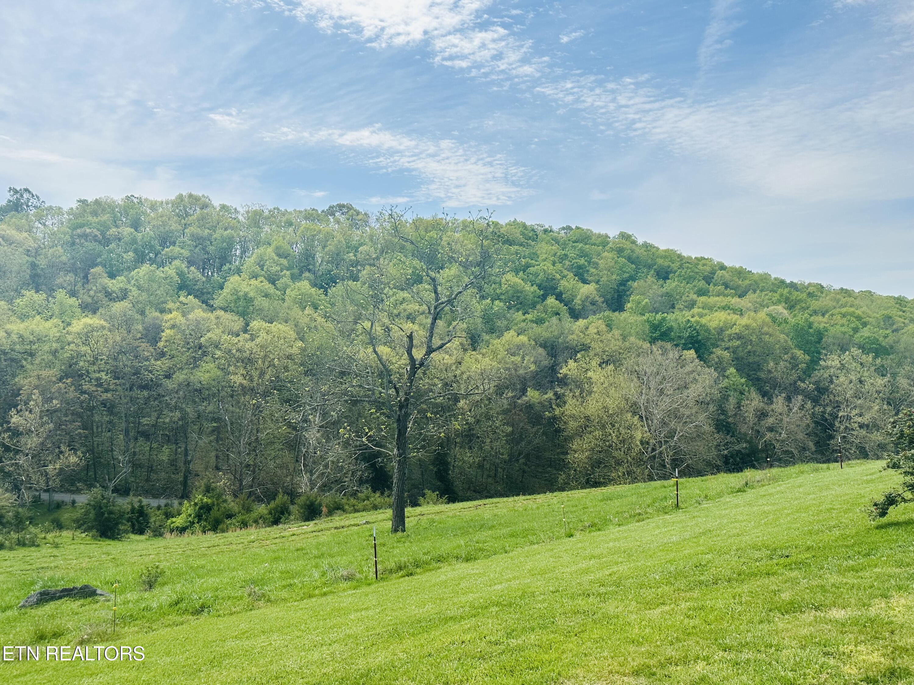 515 Barkley Road Greeneville, TN 37745 - Photo 3 of 27 IMG_6098