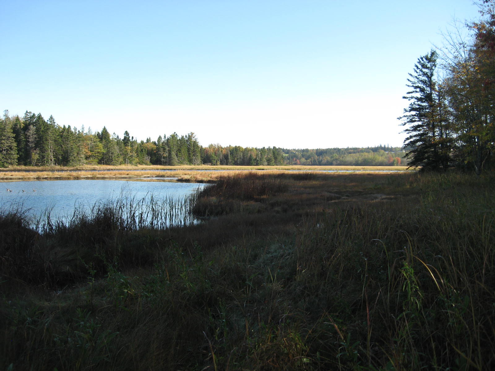 120 Wescogus Road Addison, ME 04606 - Photo 11 of 17 IMG_0010