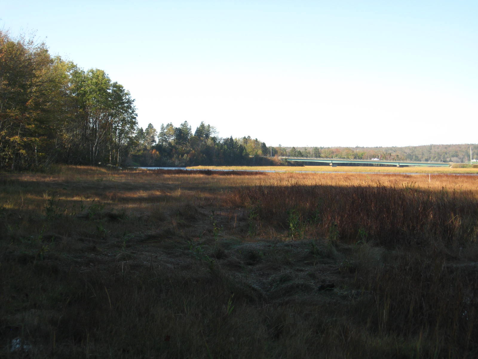 120 Wescogus Road Addison, ME 04606 - Photo 12 of 17 IMG_0011