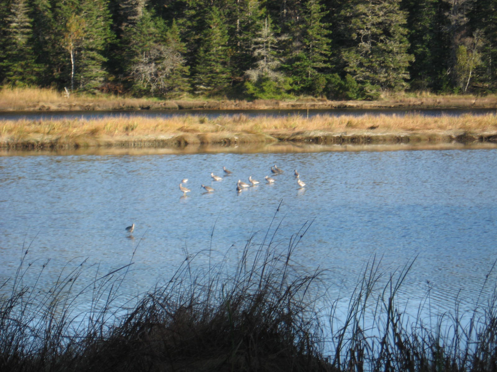 120 Wescogus Road Addison, ME 04606 - Photo 13 of 17 IMG_0012