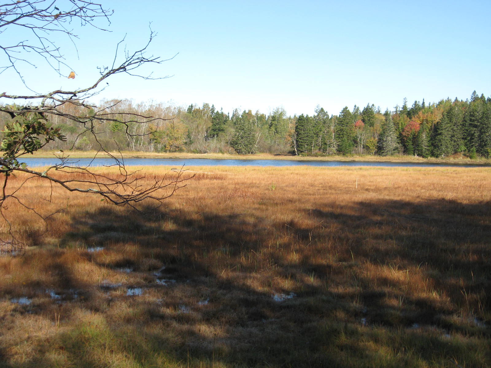 120 Wescogus Road Addison, ME 04606 - Photo 15 of 17 IMG_0015