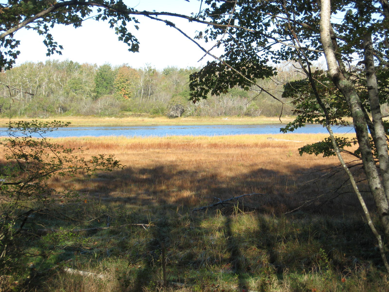 120 Wescogus Road Addison, ME 04606 - Photo 16 of 17 IMG_0016