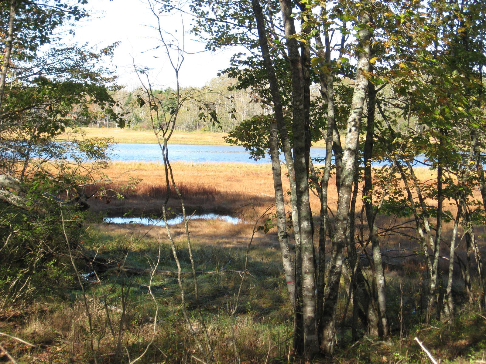 120 Wescogus Road Addison, ME 04606 - Photo 17 of 17 IMG_0017